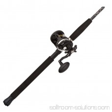 PENN Rival Level Wind Baitcast Reel and Fishing Rod Combo 564908438